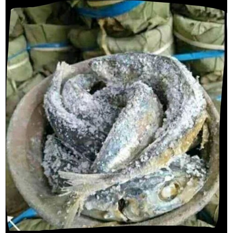 

ikan belanak kendil,Wonogiri.sangat lezat di masak sayur lombok atau di goreng.