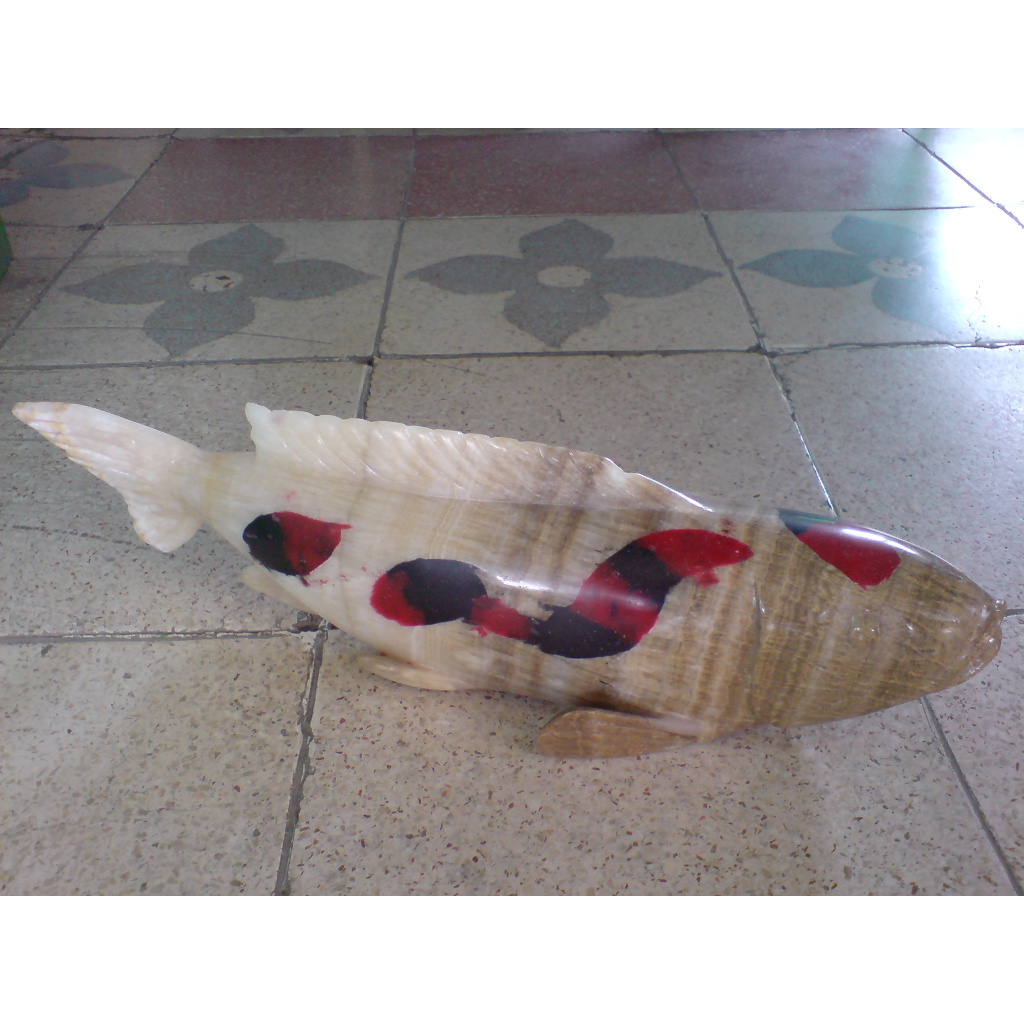 PAtung Ikan Koi Onix Tulungagung+ongkir area jawa