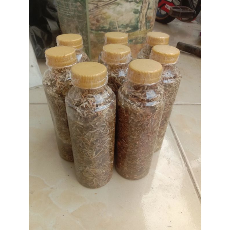 biang jakaba super 250ml isi full, untuk di kembangkan