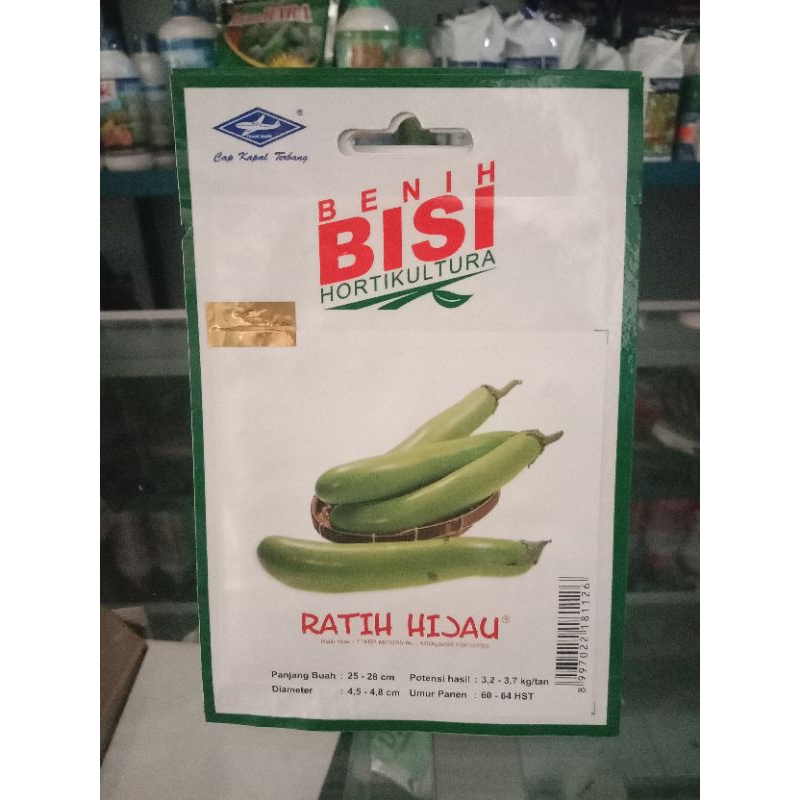 RATIH HIJAU/bibit terong hijau/ bibit terong bisi