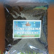 Benih Centrosema Pubescens 1 Kg