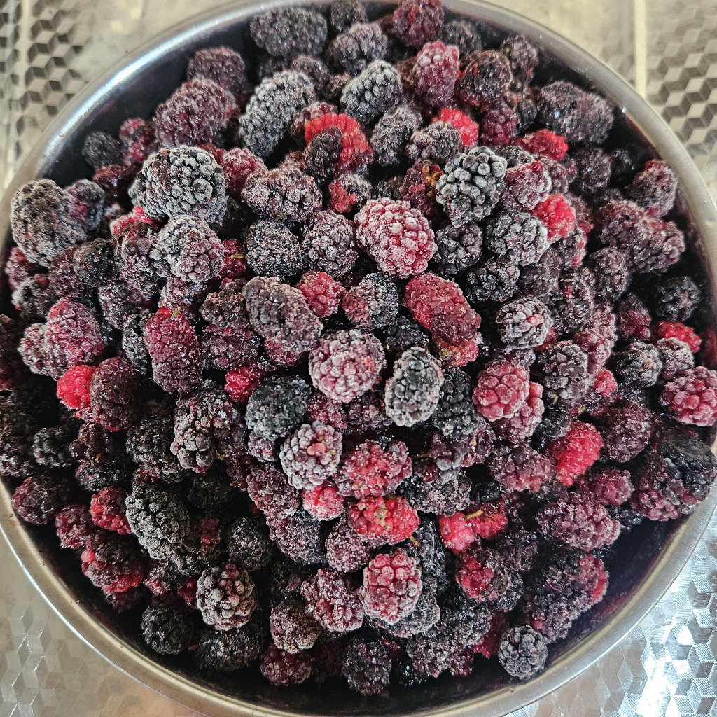 

Blackberry Frozen 1kg Mulberry Frozen 1 kilogram Buah Blackberries Beku Blackberi