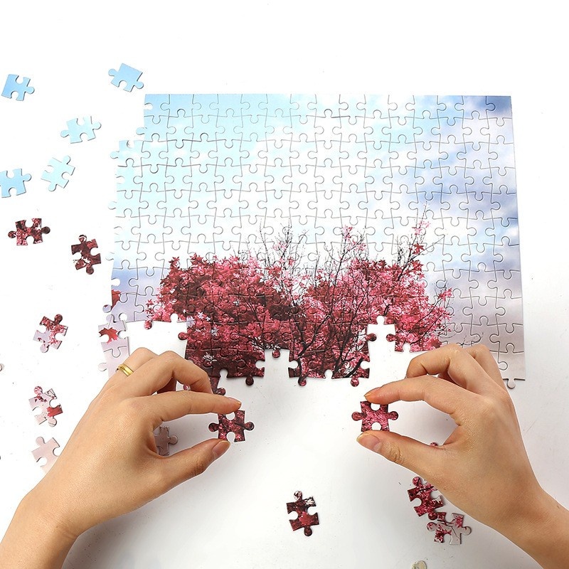 Jigsaw Puzzle 1000 Pcs Collection / Puzzle Jigsaw Model Dekompresi /Adult puzzle /Gift puzzle-50 x 75 Cm