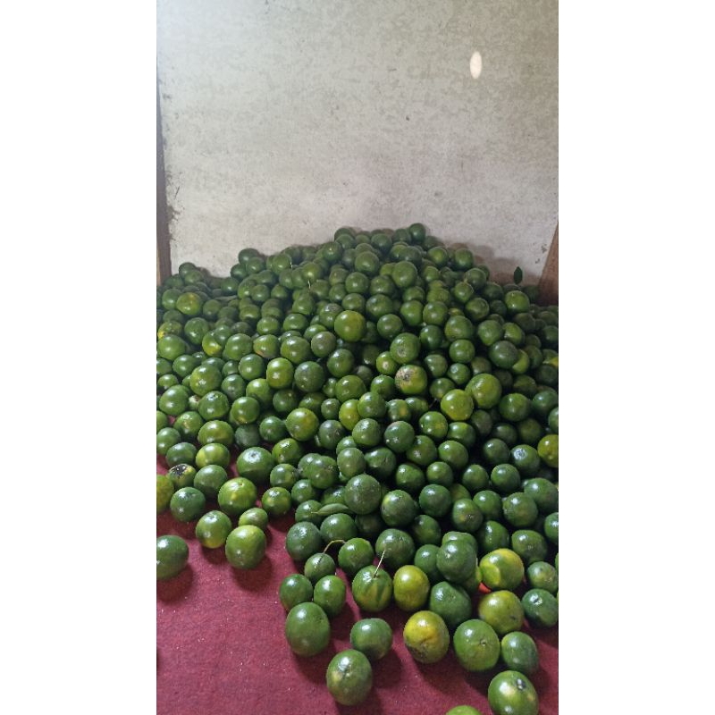 

jerukperas1 kg