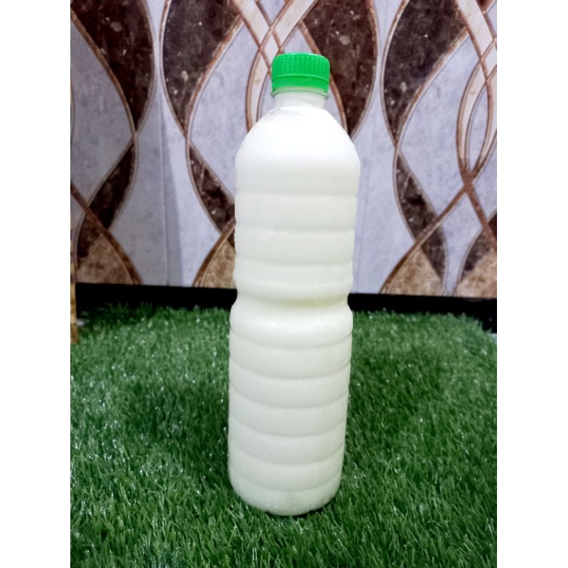 

kefir susu kambing 1liter