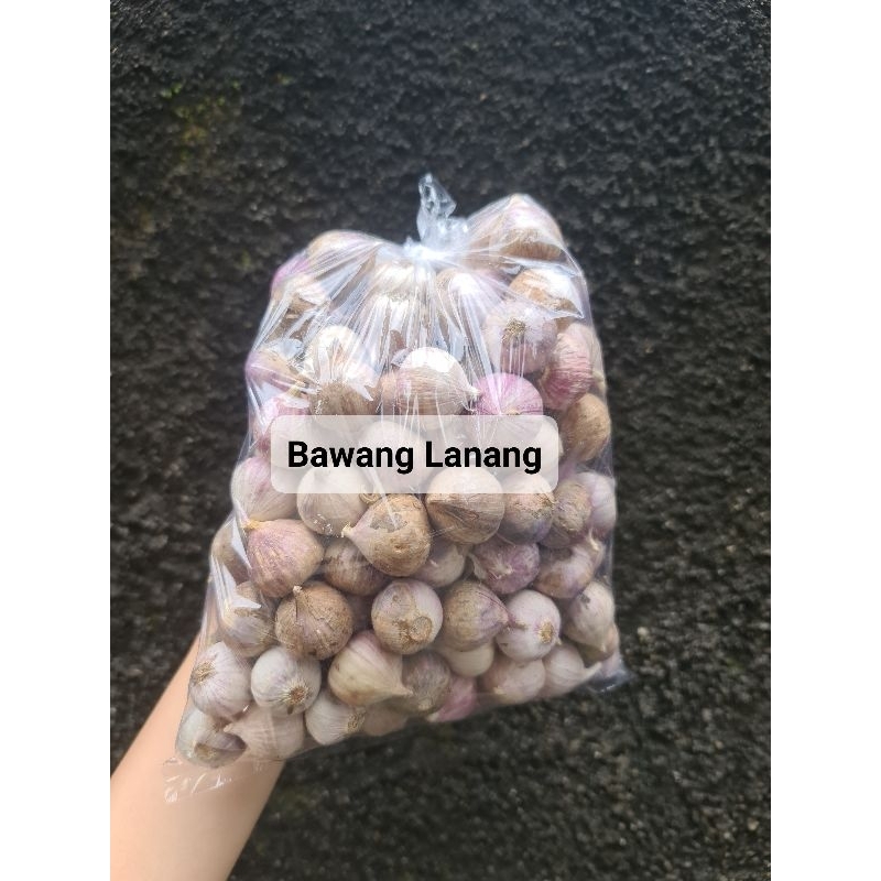 

Bawang Lanang 500gram