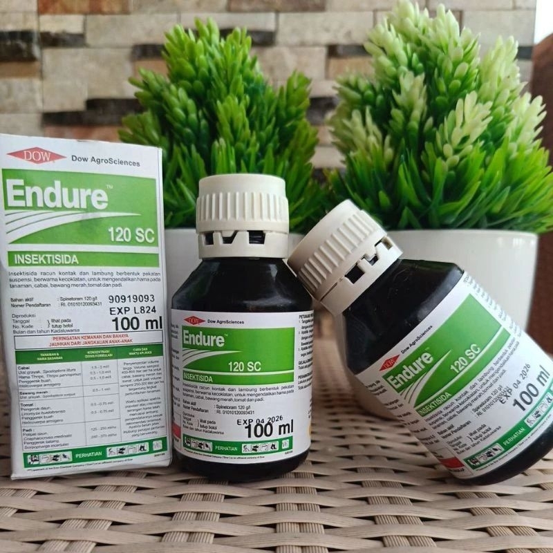 Endure 120 SC 100 ml