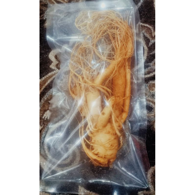 

Gingseng meraha asli korea import