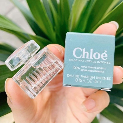 Miniature Perfume Travel Size E