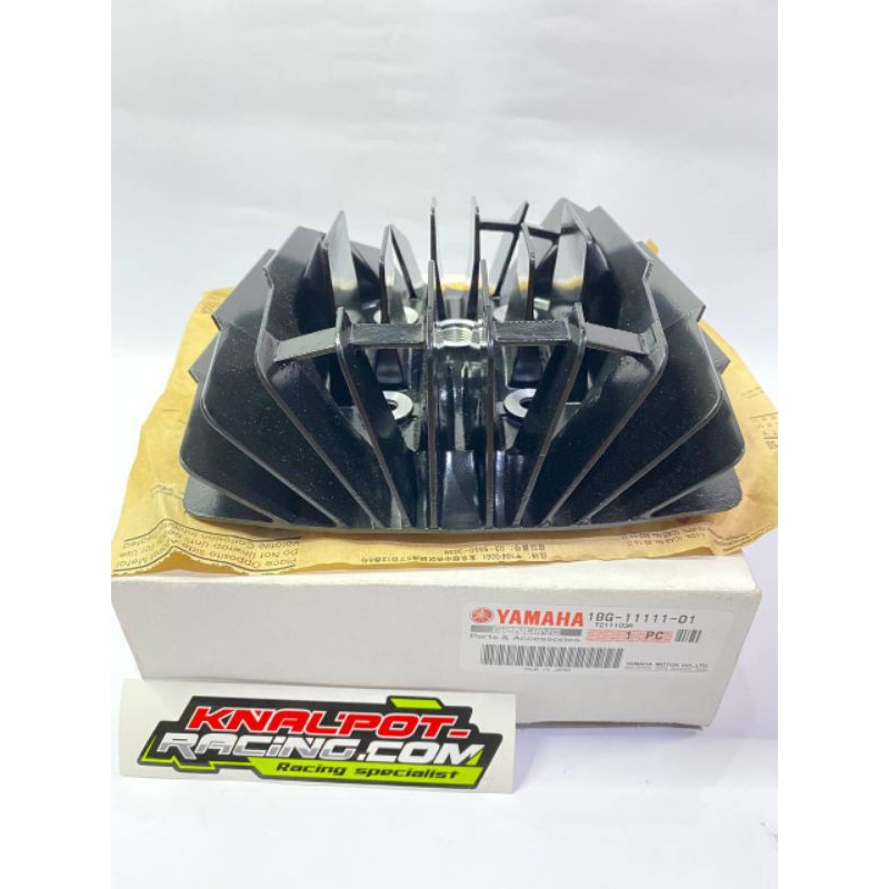 HEAD NANAS RXKING (DT100)18G
