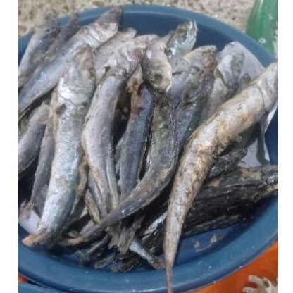 

IKAN ASIN LAYANG REBUS IKAN ASIN JAPUH PEDA 250 GRAM