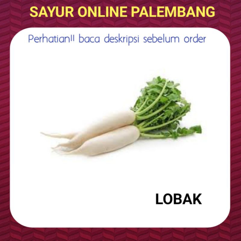

Lobak Putih Segar - Pasar Toko Sayur Segar Online Palembang