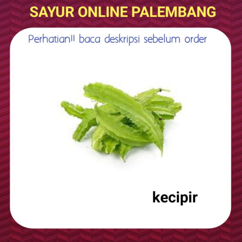 

Kecipir Lalap Per Ikat - Pasar Toko Sayur Segar Online Palembang