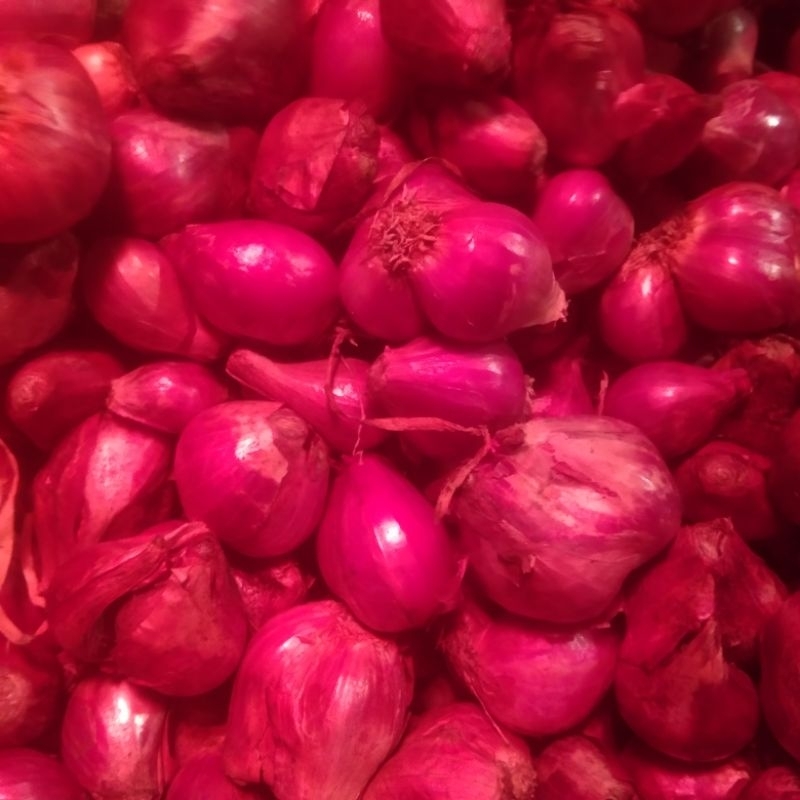 

Bawang Merah Brebes 1Kg