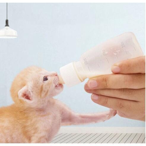 BOTOL DOT SUSU KUCING ALAT MINUM BOTOL DOT SUSU ANAK KUCING
