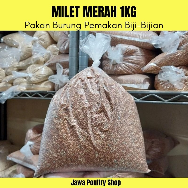 MILET MERAH KILOAN - Pakan Burung Parkit, Perkutut, Lovebird, Kenari