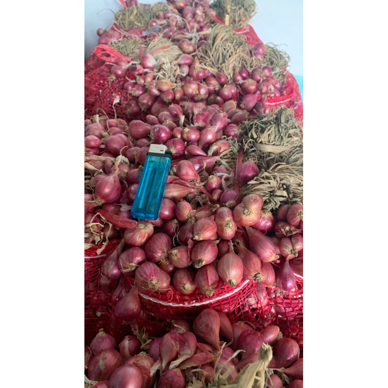 

Bawang Merah Potong 250gram
