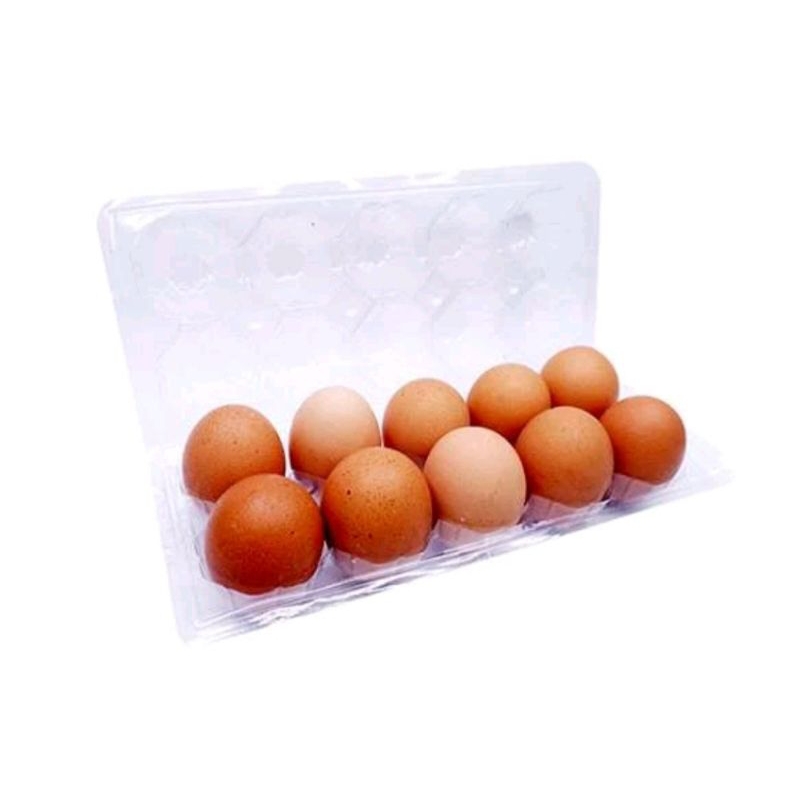 

TELUR AYAM 10 BUTIR