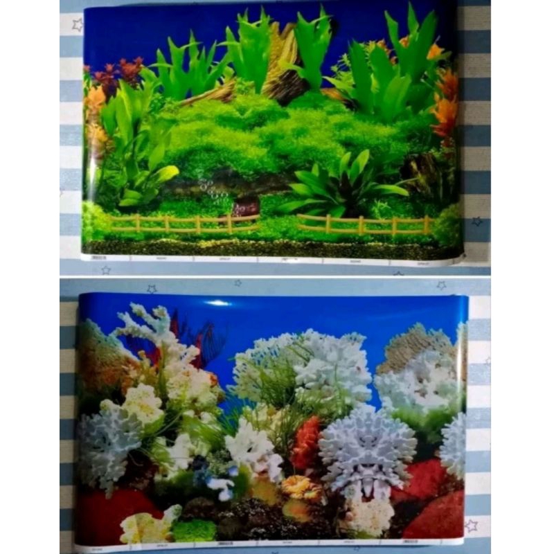 Background stiker  Aquarium Wallpaper Aquarium gambar