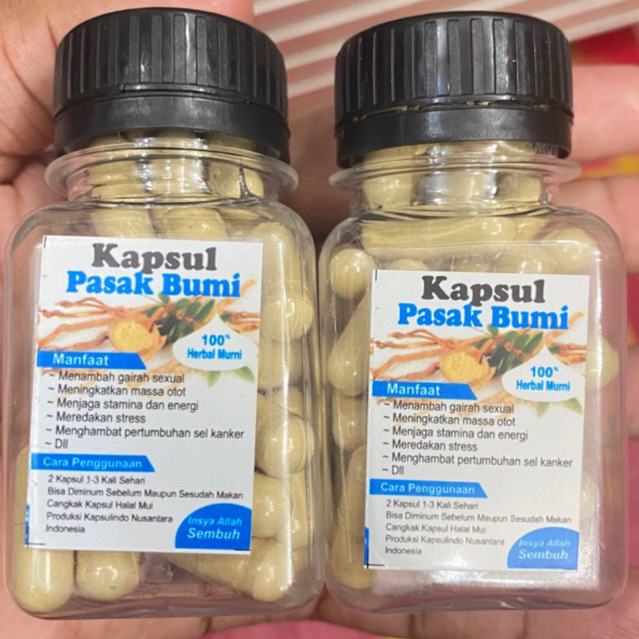 KAPSUL PASAK BUMI ASLI ORIGINAL 100 % HERBAL MURNI ASLI KALIMANTAN SELATAN