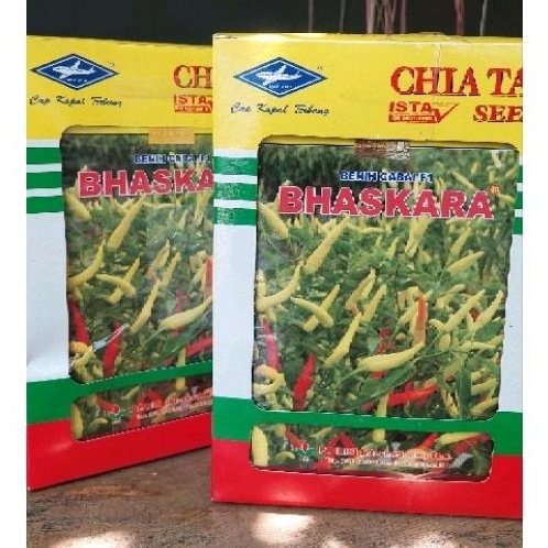 Benih Cabai F1 Bhaskara exp 12 26