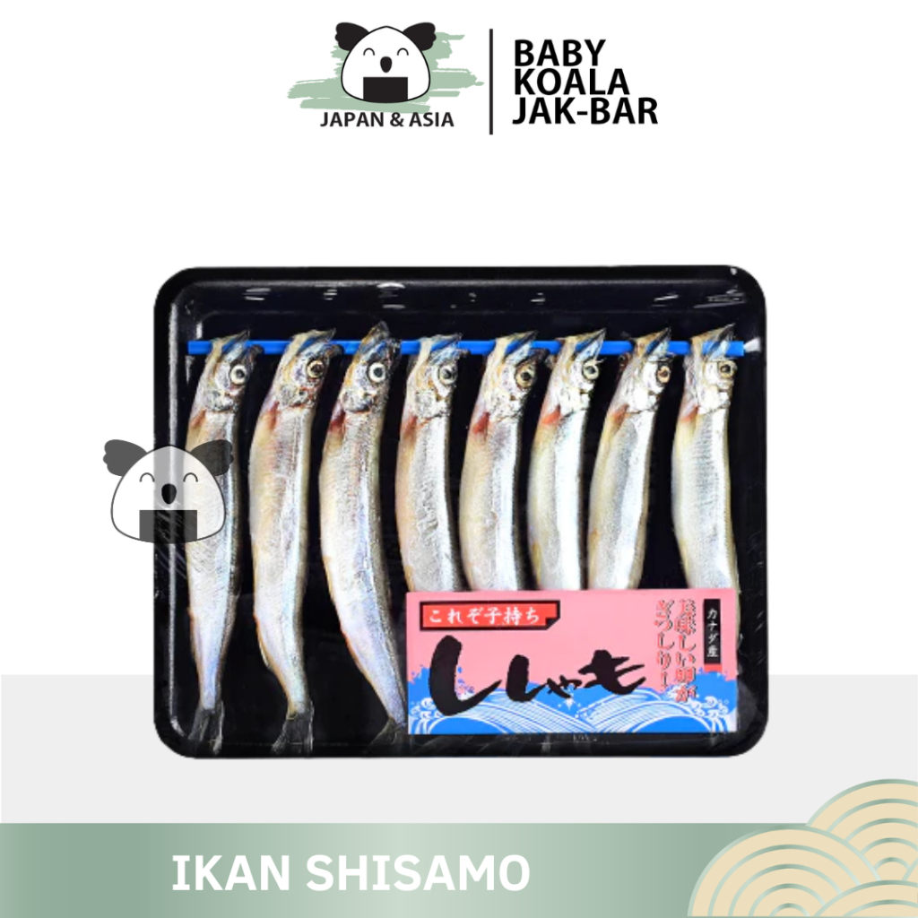 

Ikan Shisamo Fish | Capelin Fish Premium Import Frozen | Full Telur
