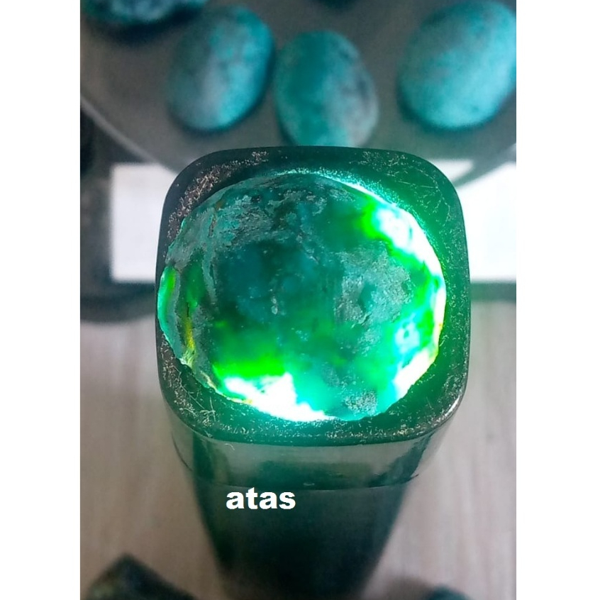 polkas bacan doko gulau kura