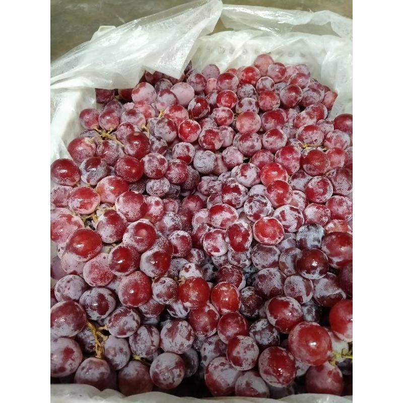 

buah anggur manis dan fresh