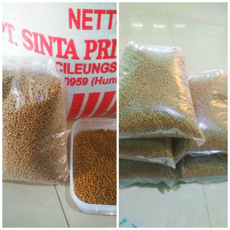 [SNA] SINTA APUNG PAKAN IKAN LELE, NILA, MAS, DLL (PACK 100 GRAM)