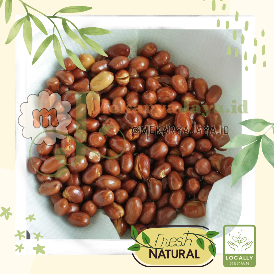 

[MJ-Fresh]- Kacang Tanah Goreng / Kacang Tanah Mateng