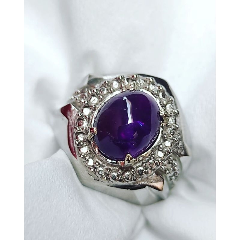 KECUBUNG UNGU KRIBANG KECUBUNG UNGU BENTOL KECUBUNG WULUNG