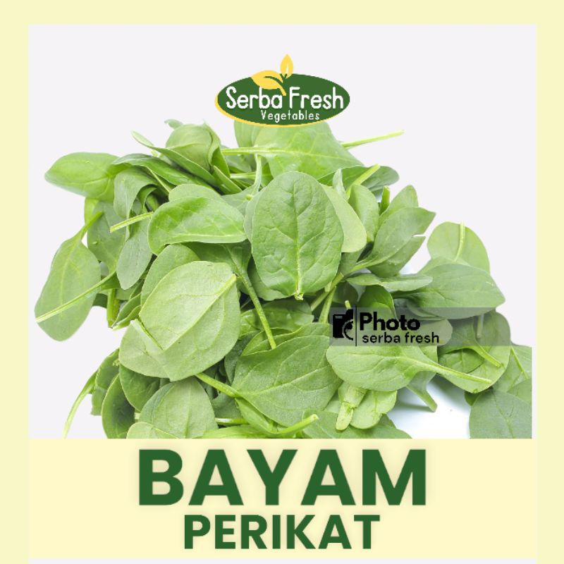 

BAYAM | 1 IKAT | SERBA FRESH