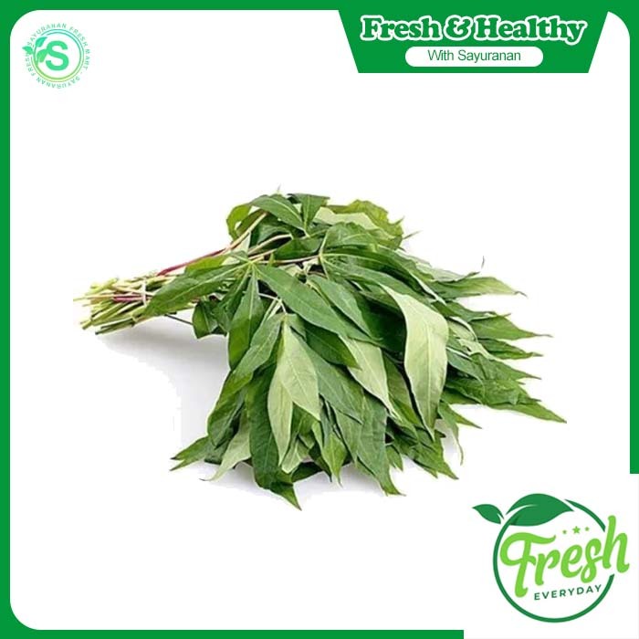 

DAUN SINGKONG SEGAR 1 IKAT - N FRESH MART