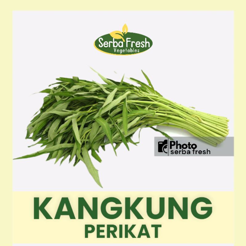 

KANGKUNG | 1 IKAT | SERBA FRESH