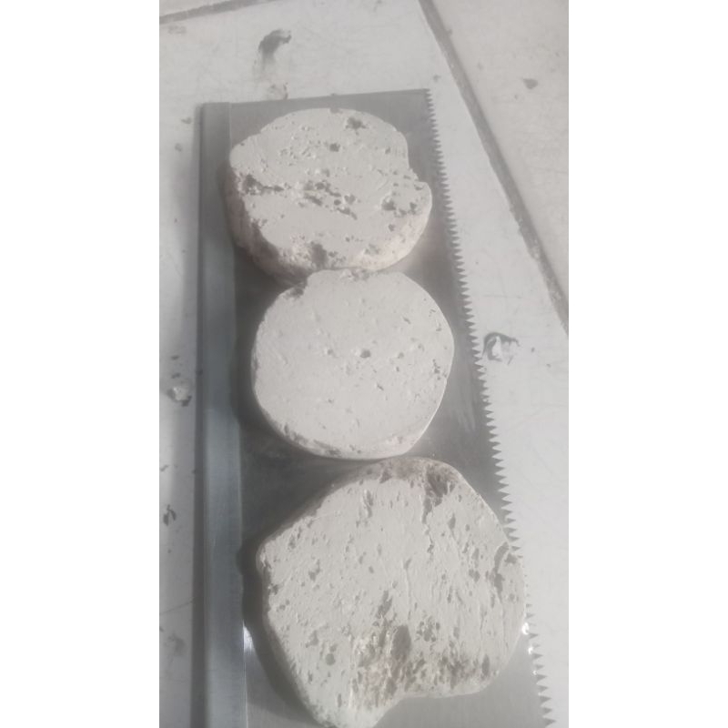 batu apung ASLI tangkringan branjangan