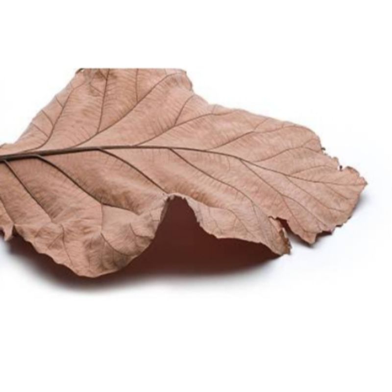 

daun jati kering 250 gr