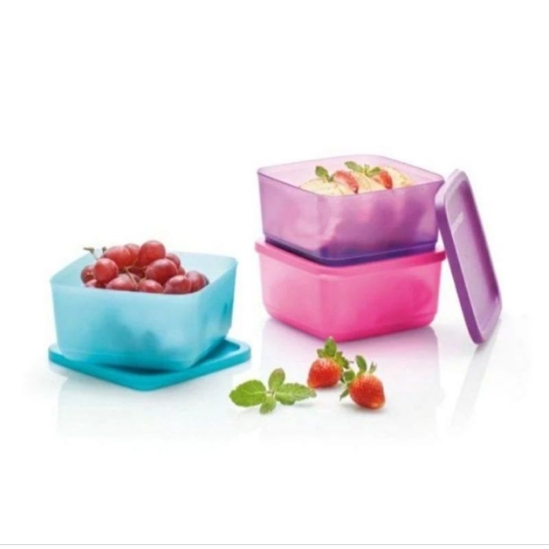 Tupperware Small summer fresh