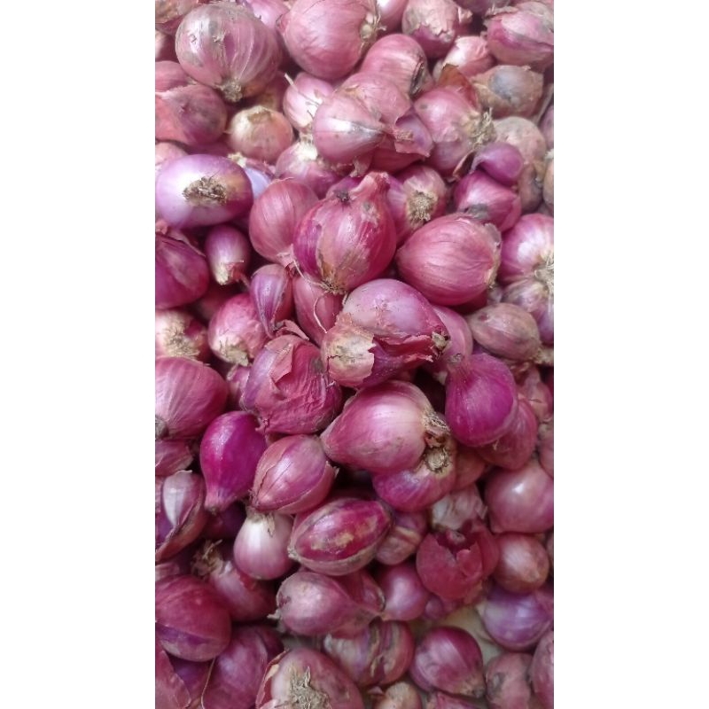 

bawang merah