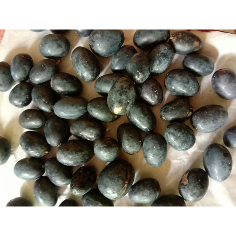 

biji buah pranajiwa/ biji pronojiwo 1kg