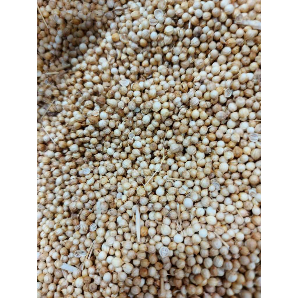 

KETUMBAR KERING 1KG