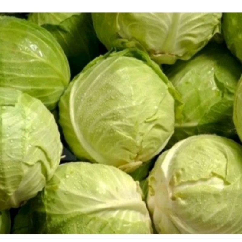 

kol fresh from farm 1kg per pac