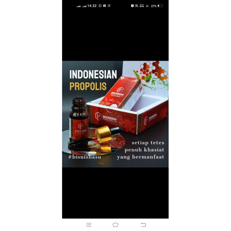propolis indonesian