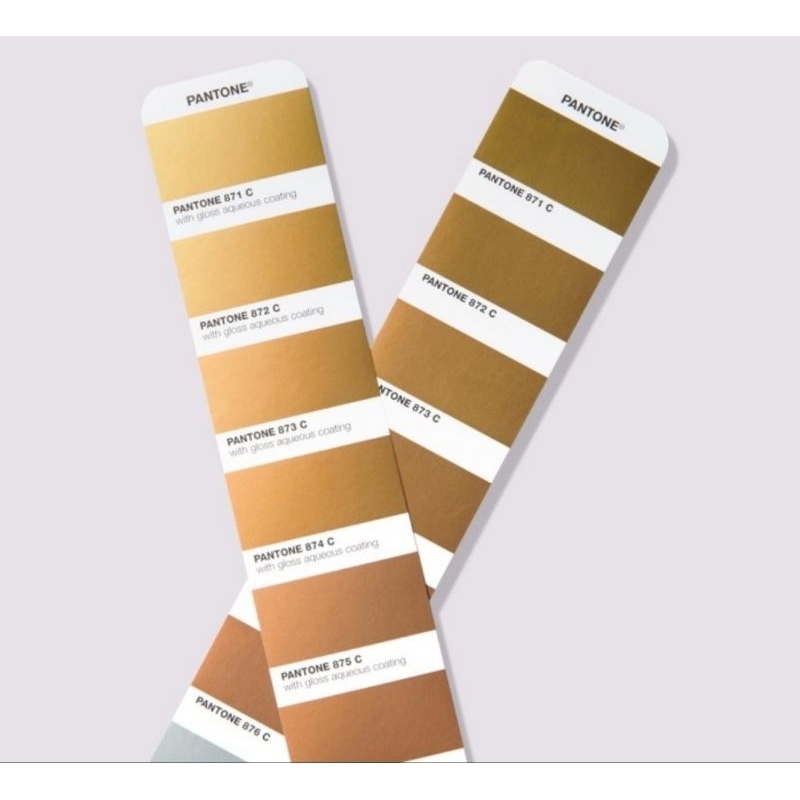 

PANTONE METALIC GG1507B