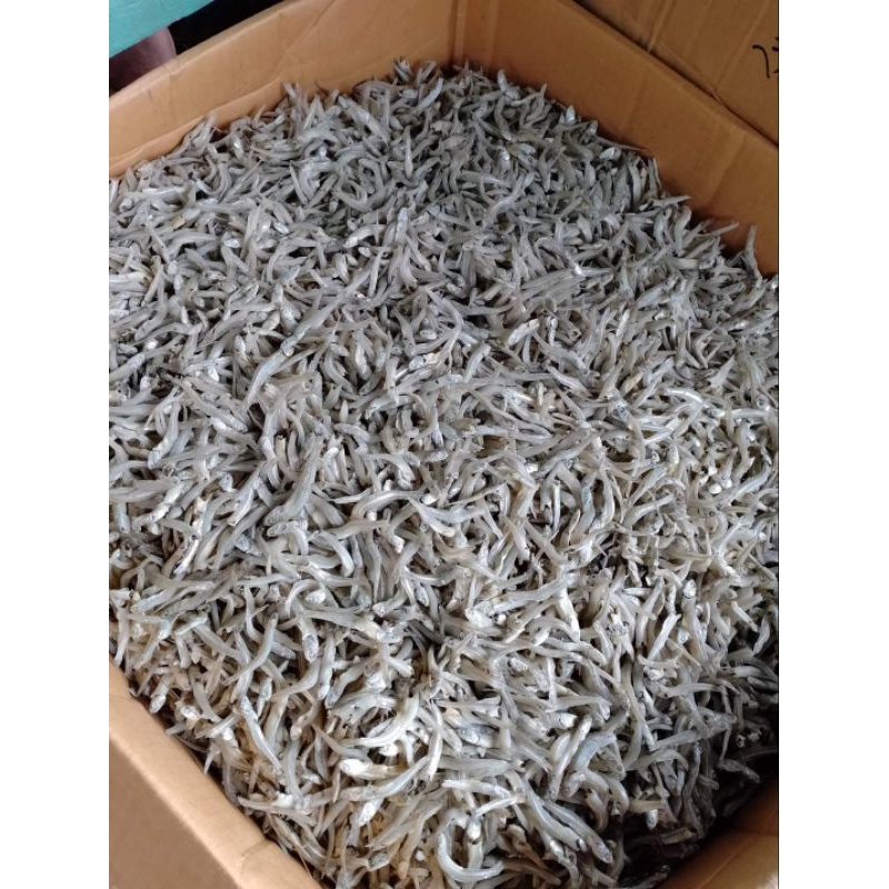 

teri kacang 1000 gr