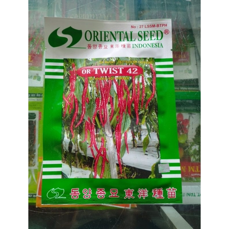 Benih cabe Or Twist 42