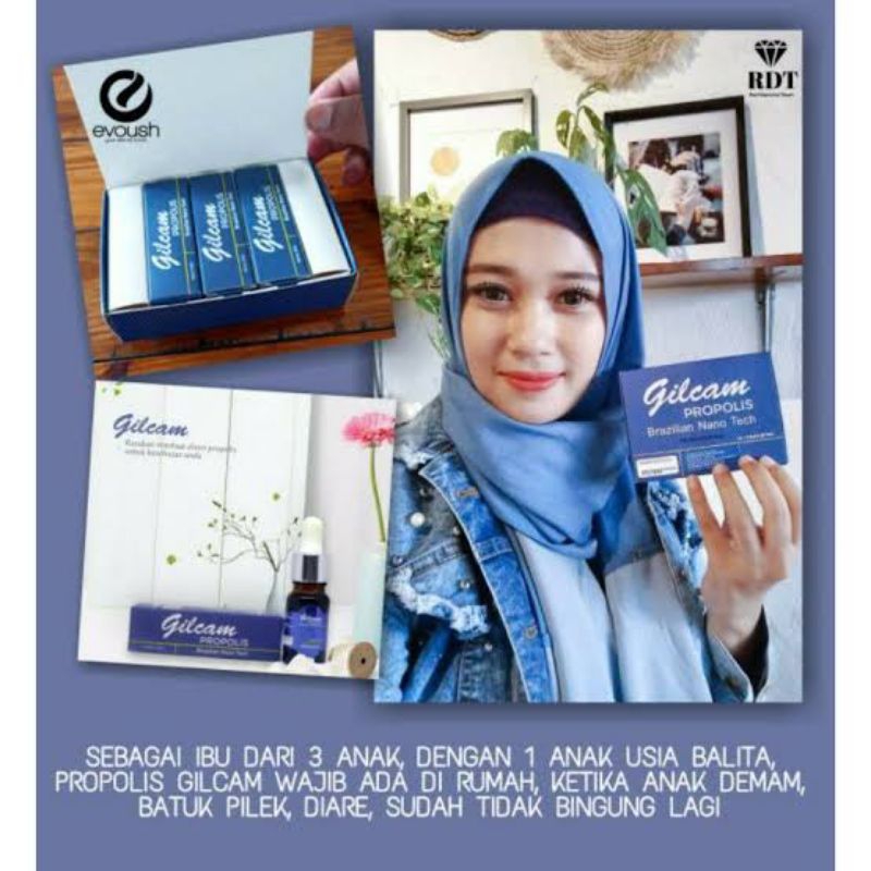 propolis gilcam