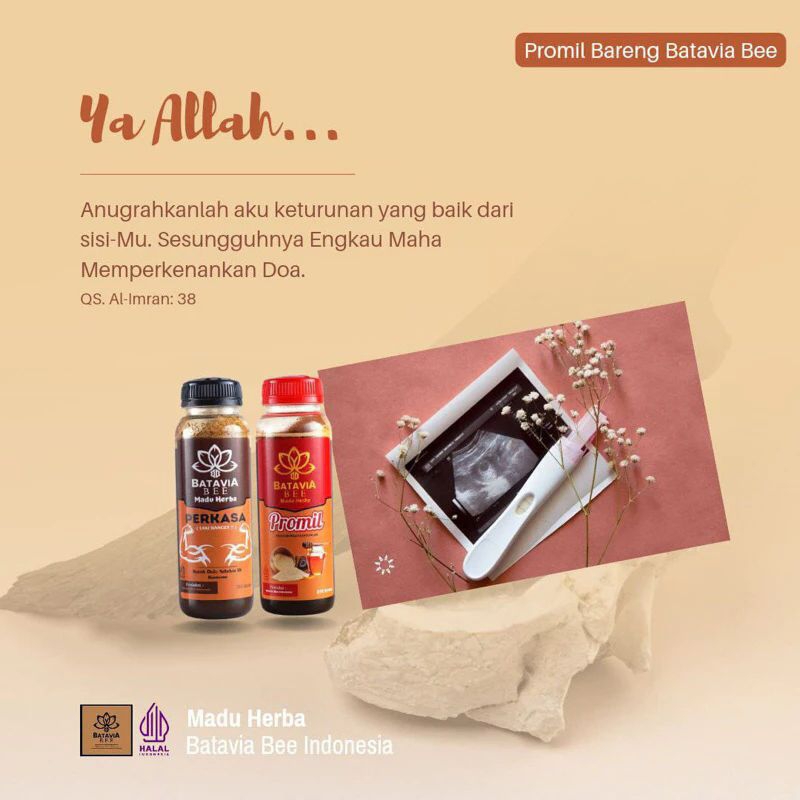 

Paket Madu Promil (Program Hamil) Pejuang Garis Dua by Batavia Bee 310gr Isi 2 pcs