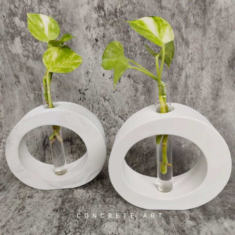 Vas Aesthetic Round + Tube Putih Cocok Untuk Tanaman Hidup / Bunga Kering Pajangan Dekorasi Props Fo