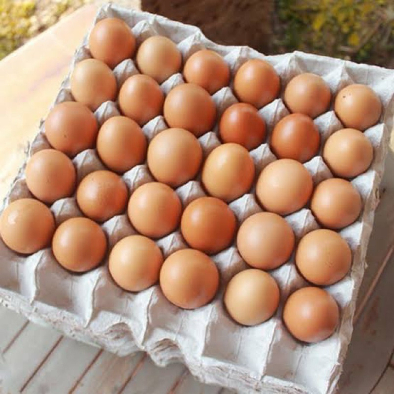 

Telur Ayam Eropa(Kecil)