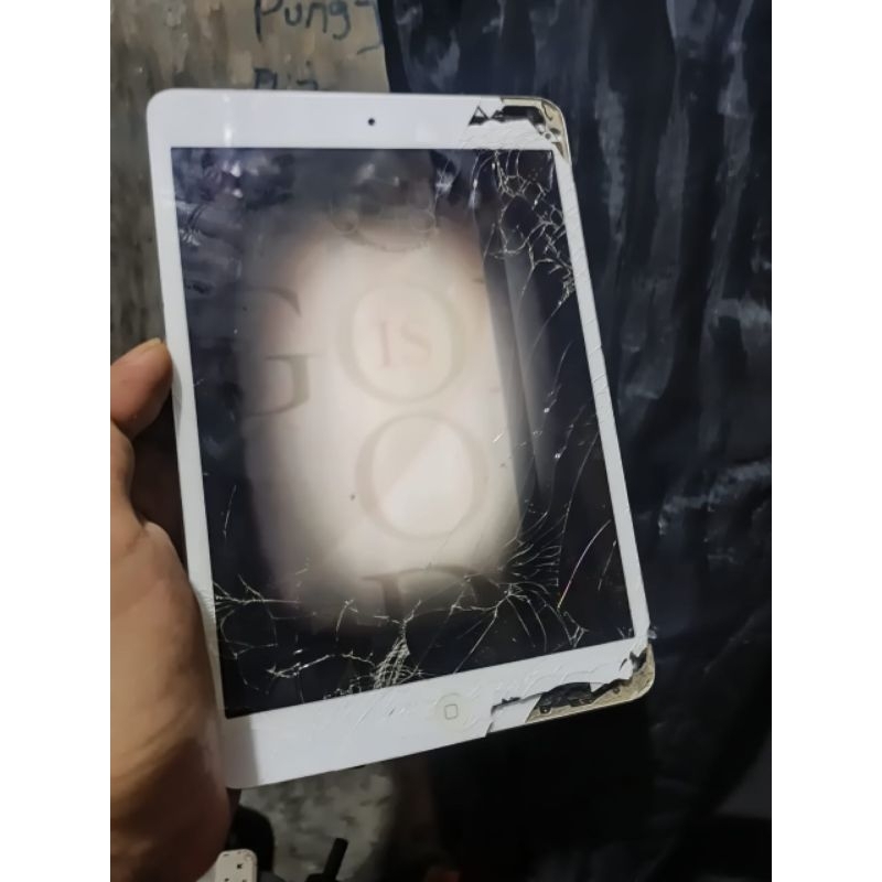 ipad mini wifi minus lcd